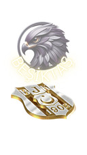 BJK-5