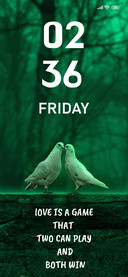 Love Bird