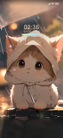 Cats prefer you