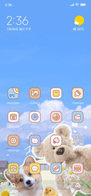 Happy Bear