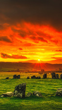 Field scenery