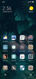 Rainforest
