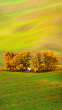 The Chapel St. Barbara on South Moravian Fields