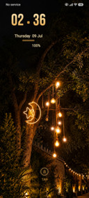Moonlit Garden