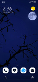 Dark Silhouette
