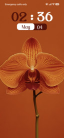 Orchid