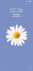 花开 轻色