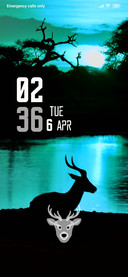 NightDeer