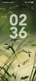 Grasses
