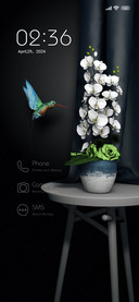 Hummingbird