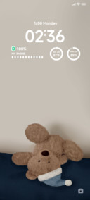Cute Bear