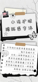 小说护眼朦胧感字体