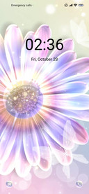 Dream Sunflower