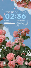 简约 月见花