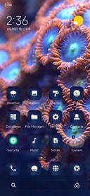 Coral_Reef
