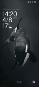 ORCA