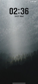 Foggy Forest
