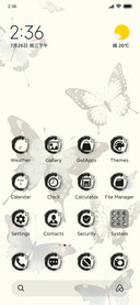 Butterfly dance