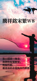 腾祥铭宋繁W8