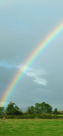 The Rainbow after the rain-PAIXIN