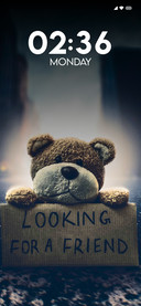 Looking For Friend