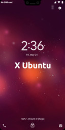 X Ubuntu_DWM19