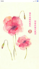 红郁金香