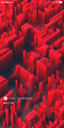 STRAPES_DWM19