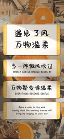 遇见了风万物温柔