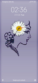 Beauty_DWM20