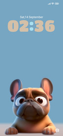 French bulldog