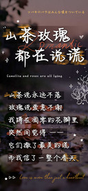 山茶玫瑰都在说谎