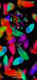 Feathers Tim