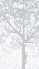 你那里下雪了吗
