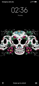 Skull_3MD
