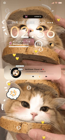 奶油焦糖 烘焙猫猫