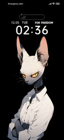 Cool+Cat+Quotes