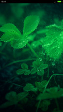 清新OS动态雨滴