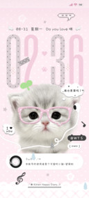 ins换色呆呆小猫