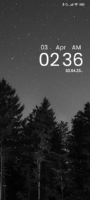 Forest night