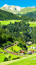 Green Forest