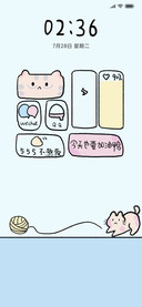 橘猫不熬夜