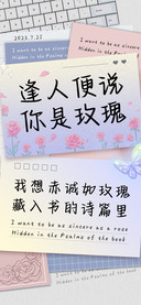 逢人便说你是玫瑰