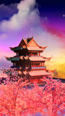 花满楼