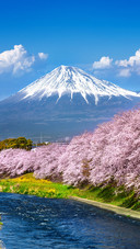 Scenery (12)
