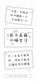 前方高萌小猫出没