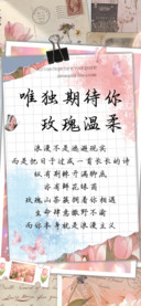唯独期待你玫瑰温柔