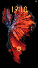  IN Red Feather