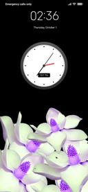 Flolola_DWM20