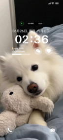 可爱puppy呆呆酱